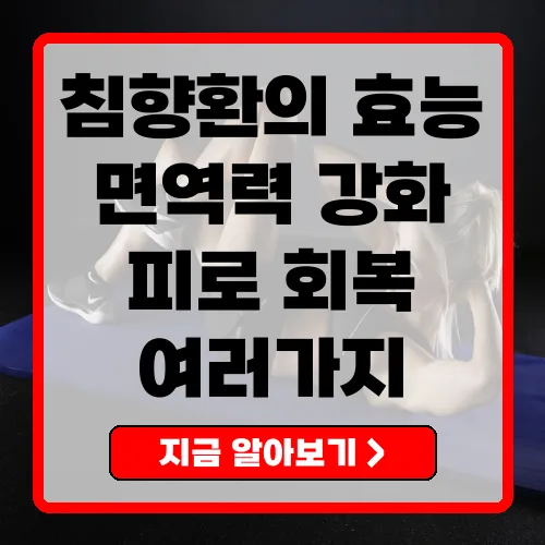 침향환의 놀라운 효능과 건강 관리 방법
