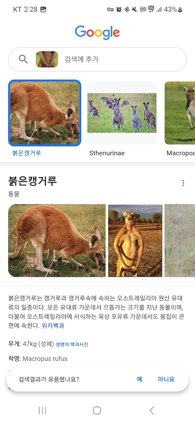 구글 이미지 검색 5