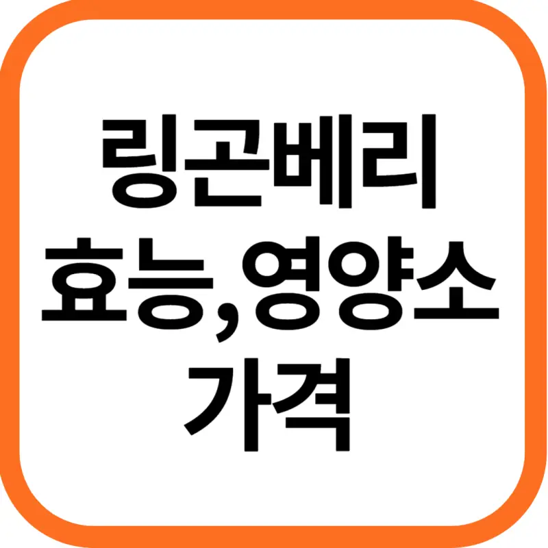 링곤베리 효능 및 영양소, 가격