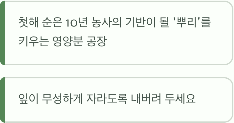 첫해 농사의 핵심, '수확하지 않는 인내'