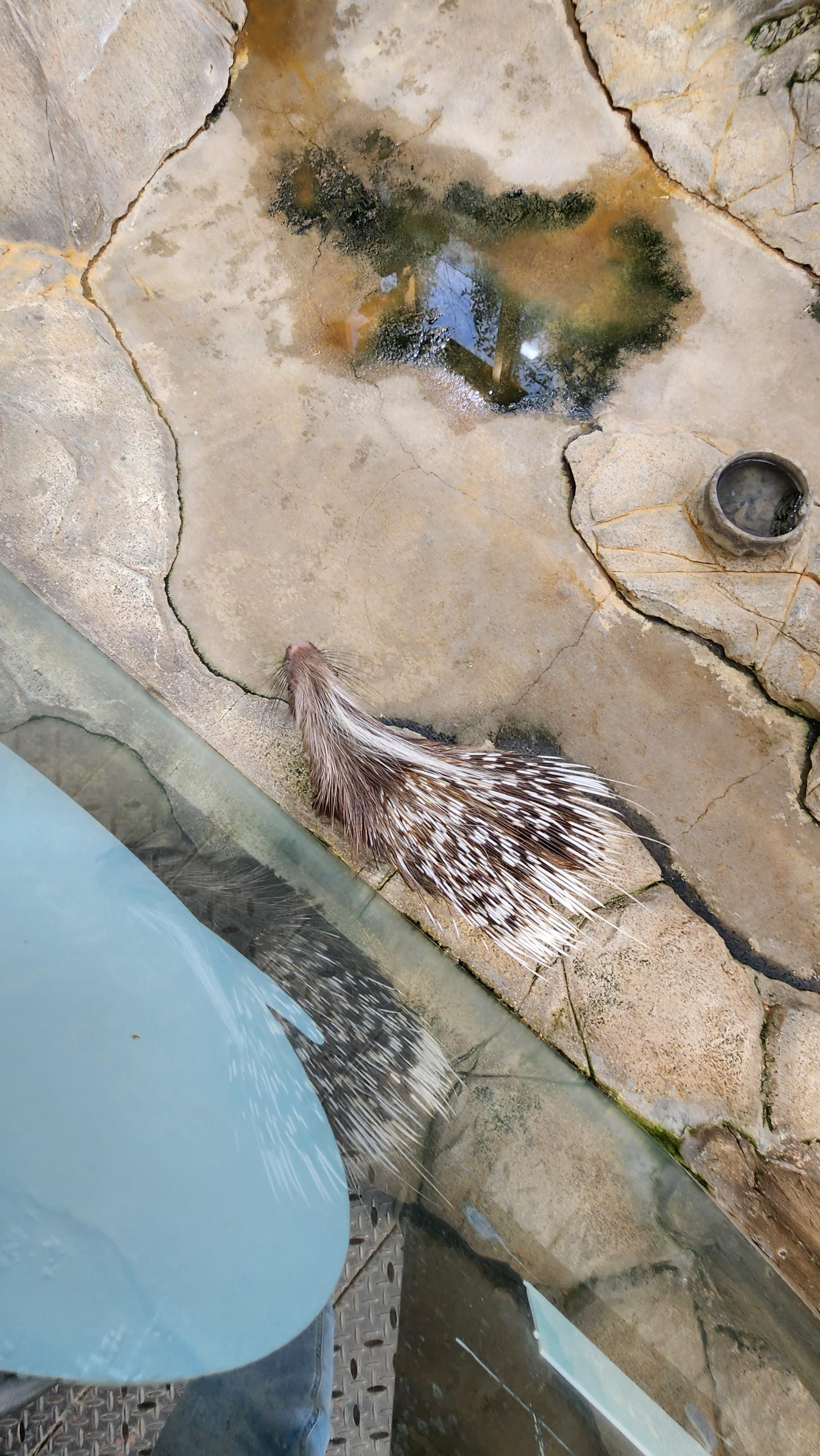 대구-네이처파크