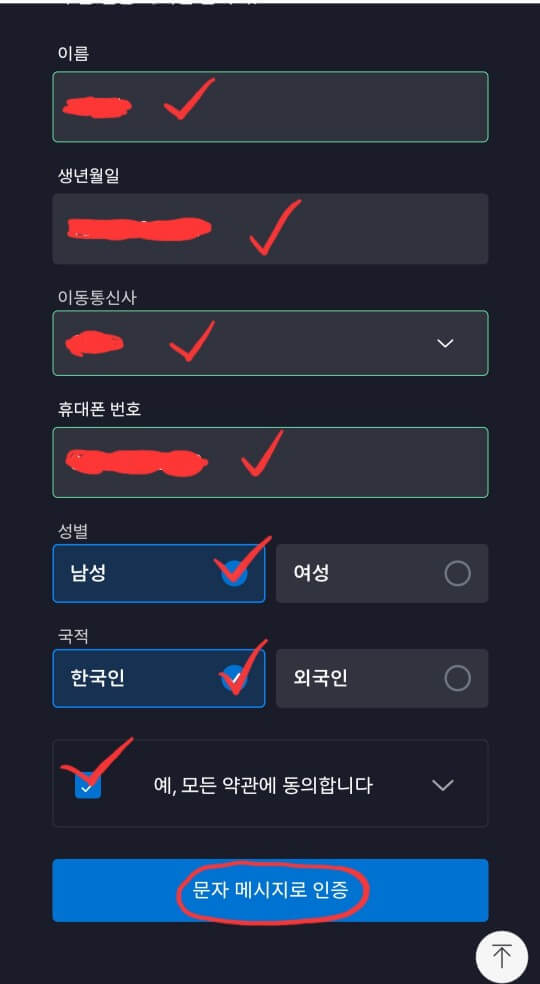 디즈니플러스 성인인증