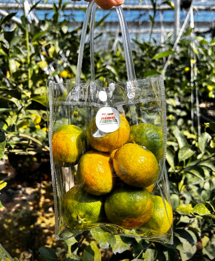 머시머시체험농장