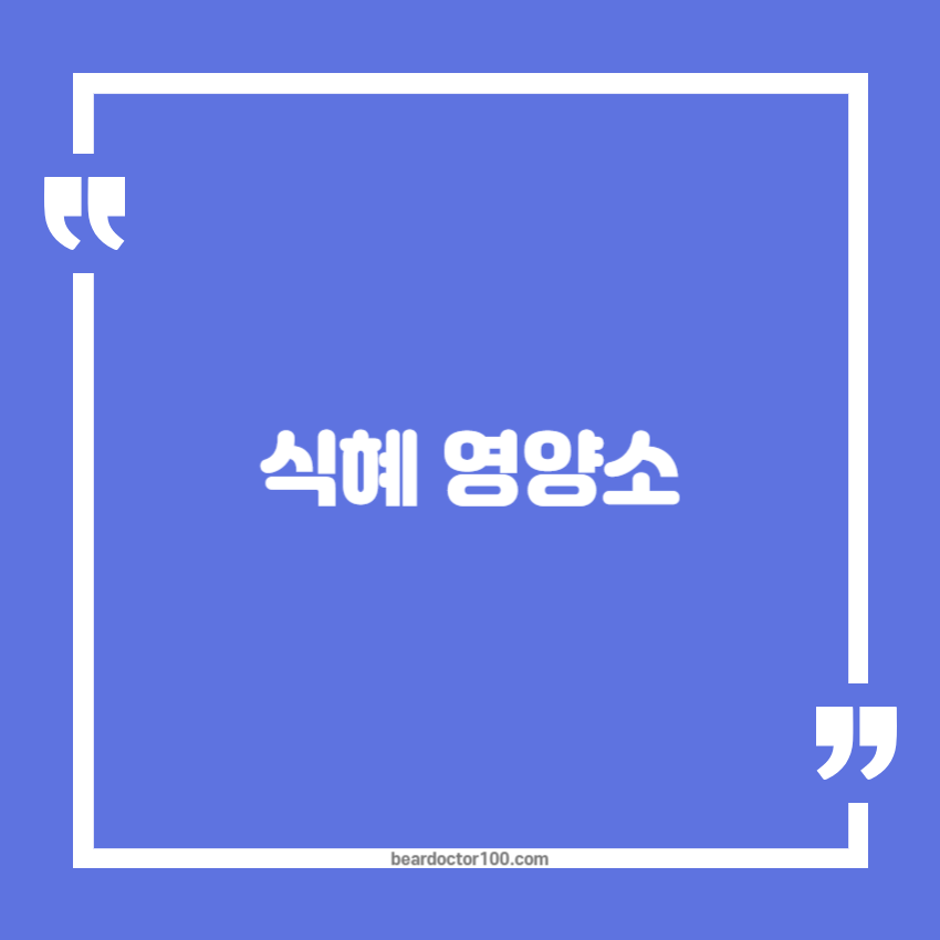 식혜 영양소