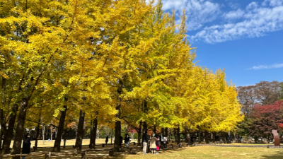 남이섬 여행