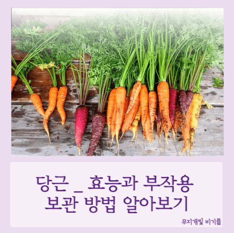 당근의효능-섬네일