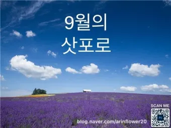 일본 홋카이도 삿포로 9월 날씨 오타루 비에이 후라노 여행_4