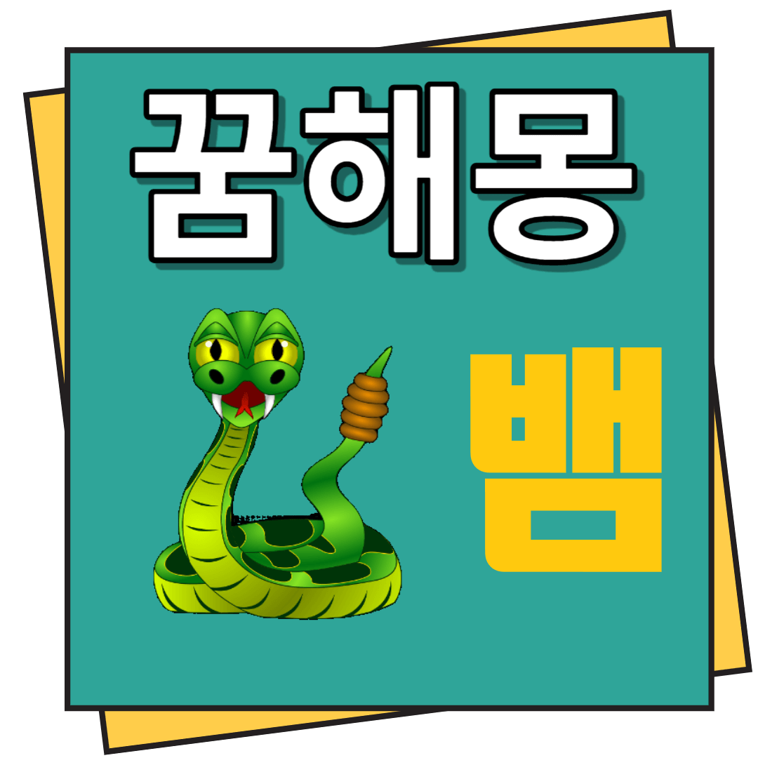 뱀 꿈해몽