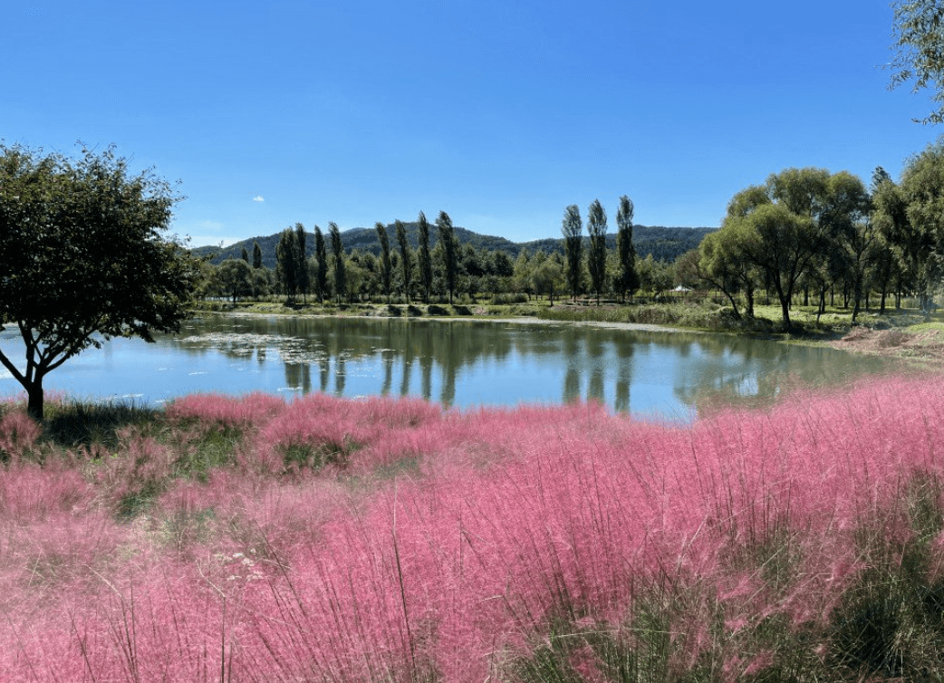 가을 축제 가볼만한 곳 추천