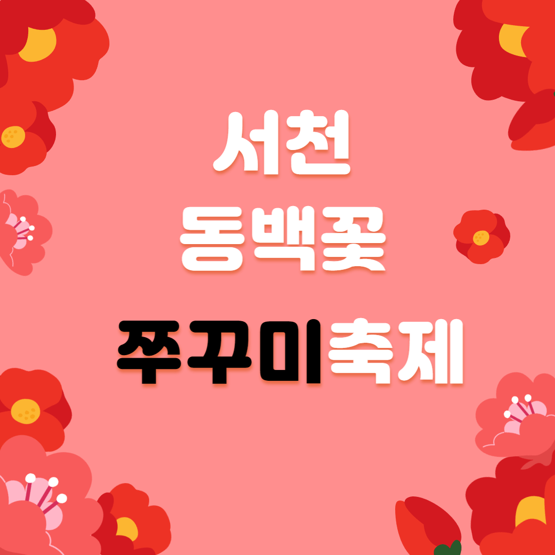 서천_동백꽃_쭈꾸미축제