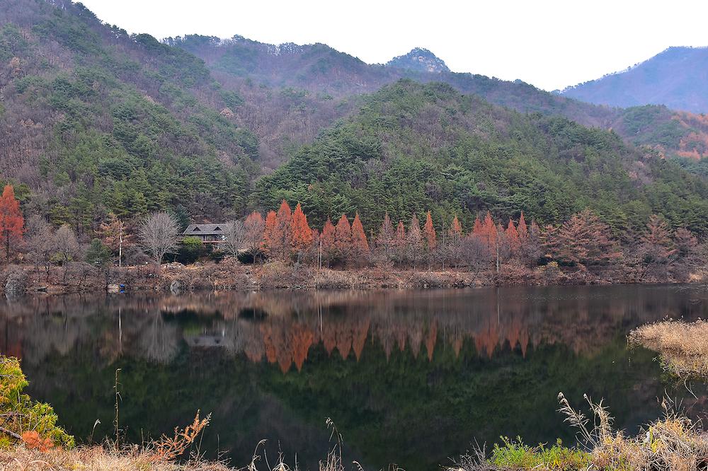 ํฌ์ฒ ๊ตญ๋ง๋ด ์์ฐํด์๋ฆผ ์บ ํ์ฅ ์ฃผ๋ณ ๋ง์ง ์นดํ ๋งํธ ์ ํต์์ฅ ํน์ฐ๋ฌผ ๊ฐ์์ง ๋๋ฐ ์ ๋ณด