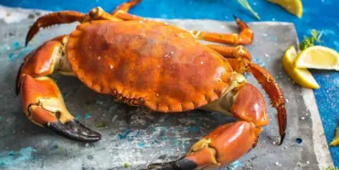 9월 제철 음식, 9월 제철 해산물