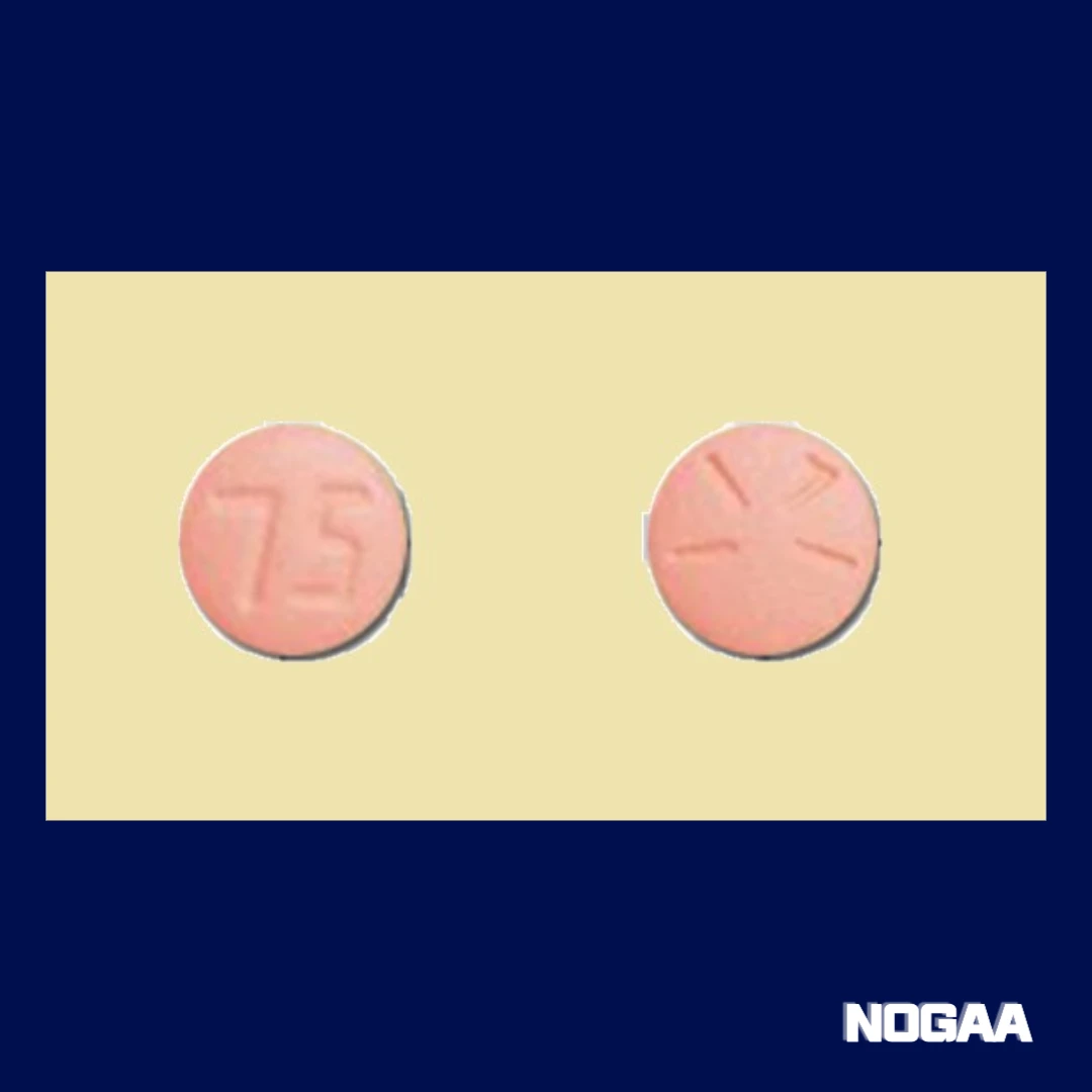 플라빅스정의 기본 정보