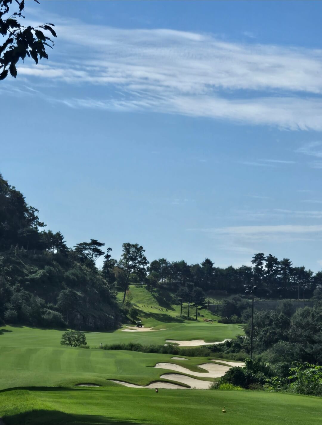 남춘천cc 챌린져코스 페어웨이