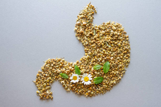 꾸준히 관리해야 하는 이유