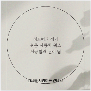 러브버그 제거 쉬운 자동차 왁스 시공법과 관리 팁