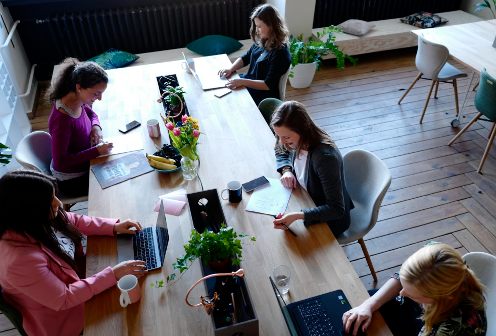 맞춤형 취업 지원