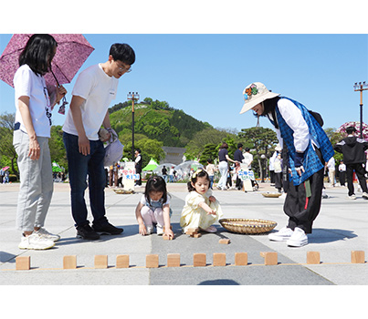 함평나비축제 일정, 초대가수, 입장료 할인정보🦋