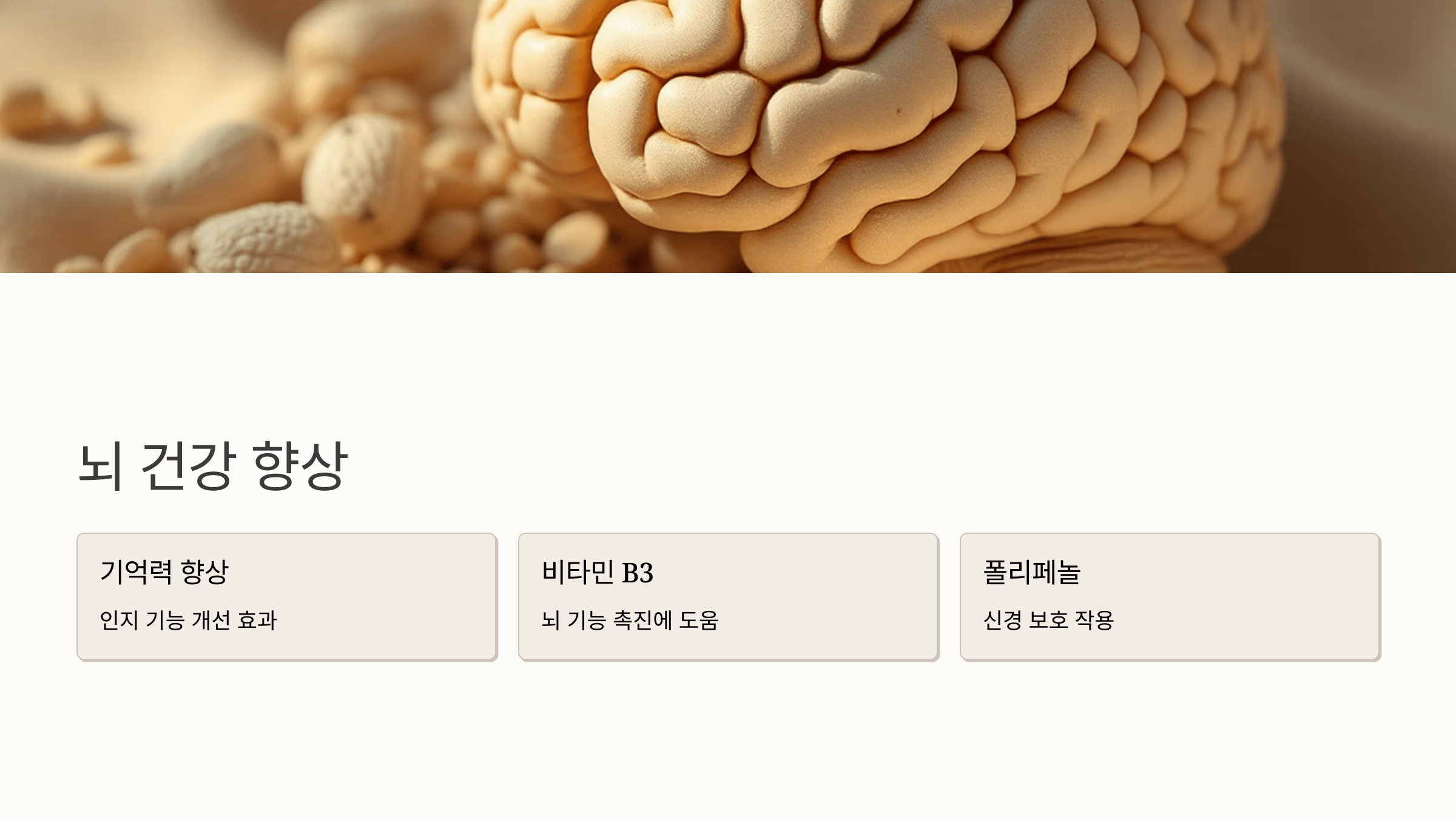 땅콩 사진입니다.