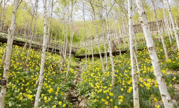 4월 축제 하는곳