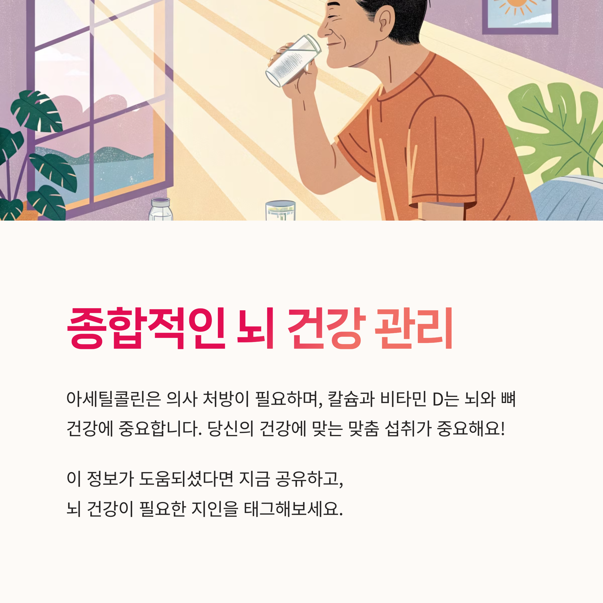 비타민B섭취, 인지력저하예방,