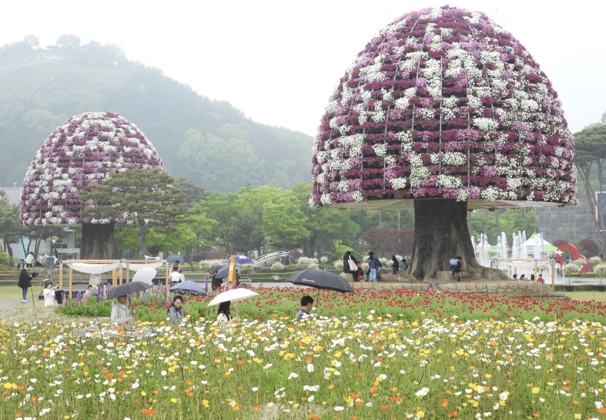 함평 나비축제 기간. 입장료. 초대가수