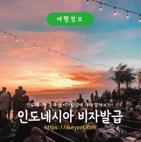 인도네시아 비자 발급