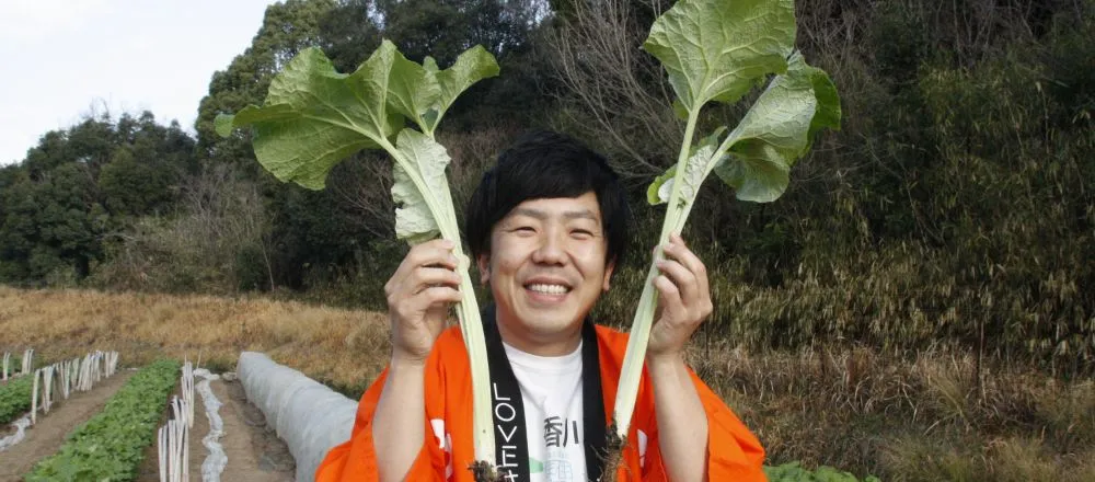 우엉 재배 깊이 갈기 직파 요령 곧게 키우기_8