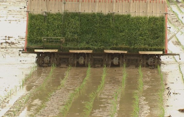 2026년 전북특별자치도 농어민수당