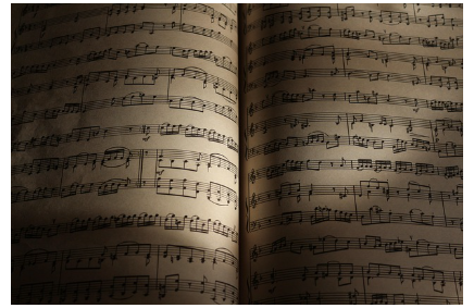 속도와 악상 그리고 셈여림