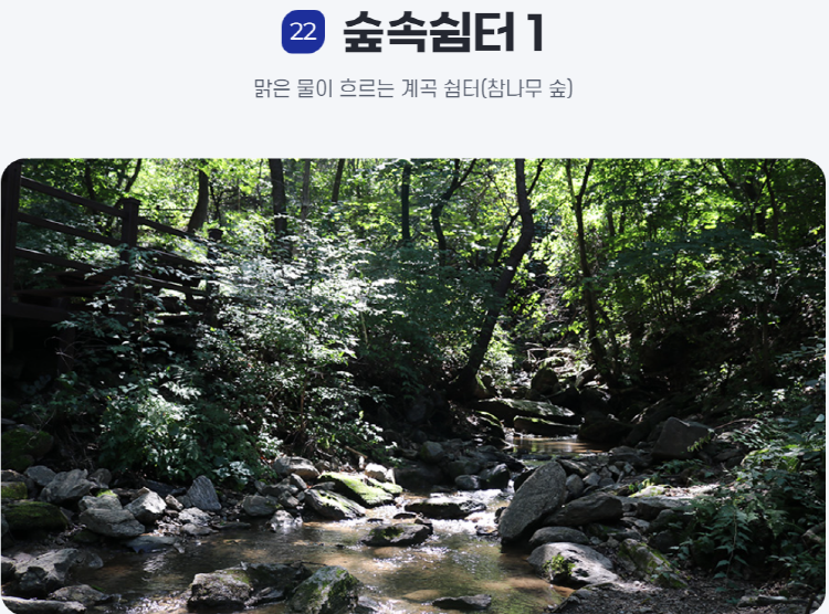 물맑음 수목원