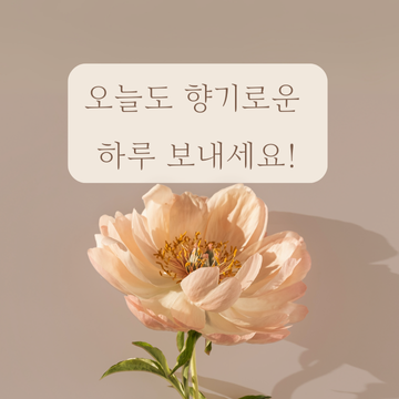 카톡 프사 추천 이미지 글귀