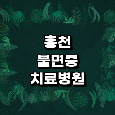 홍천군 불면증