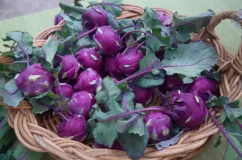 콜라비 효능과 영양성분, 주의점