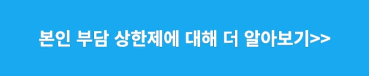 본인부담상한제 관련글 링크 이미지
