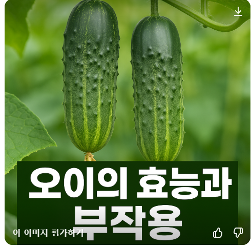 오이 효능과 부작용 요약