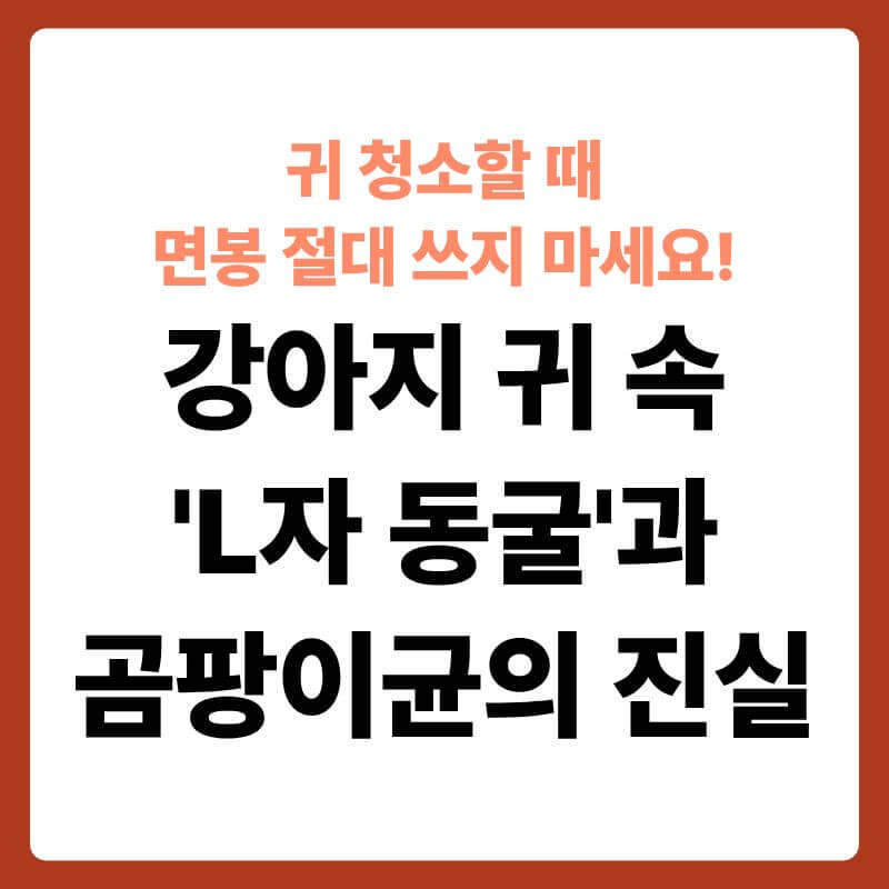 한쪽 귀를 쫑긋 세우고 있는 강아지의 귀 내부 구조를 투명한 3D 과학 그래픽으로 노출한 모습