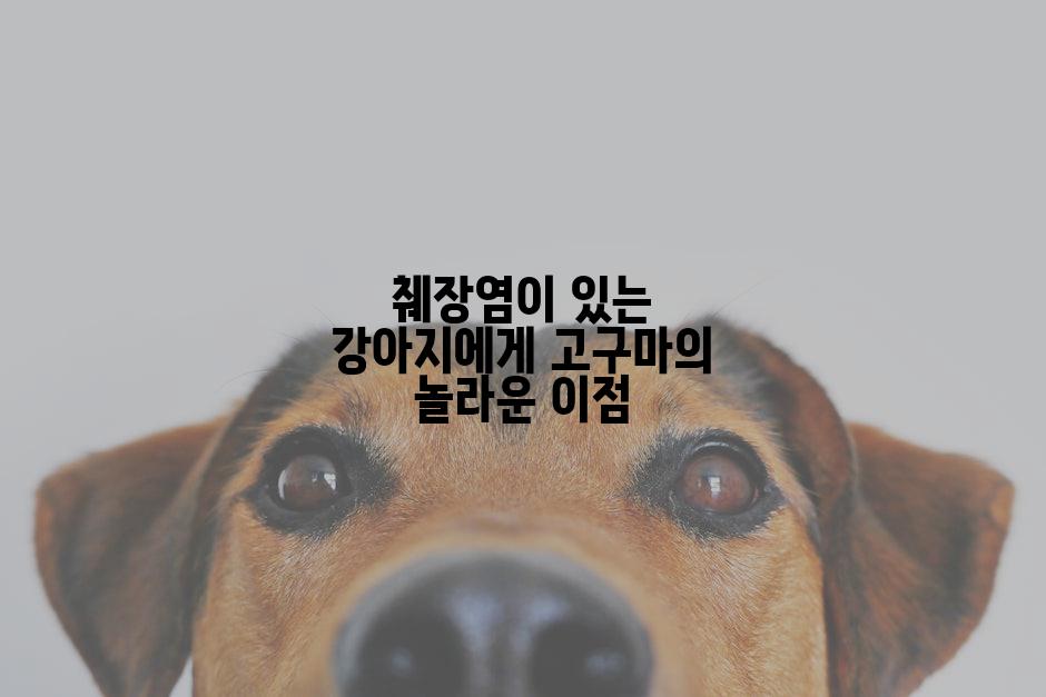췌장염이 있는 강아지에게 고구마의 놀라운 이점