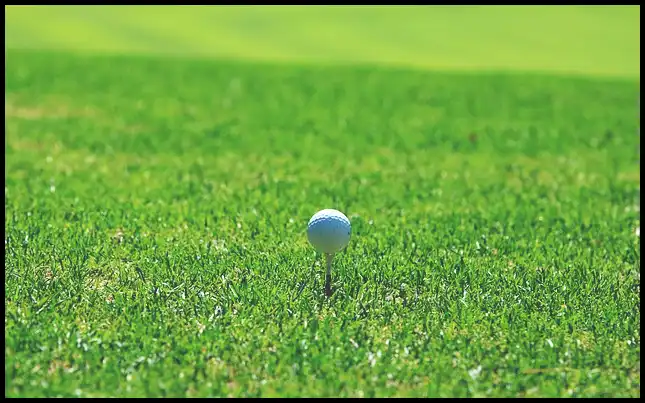 파크골프 경기규칙 (+ ob처치 방법 )