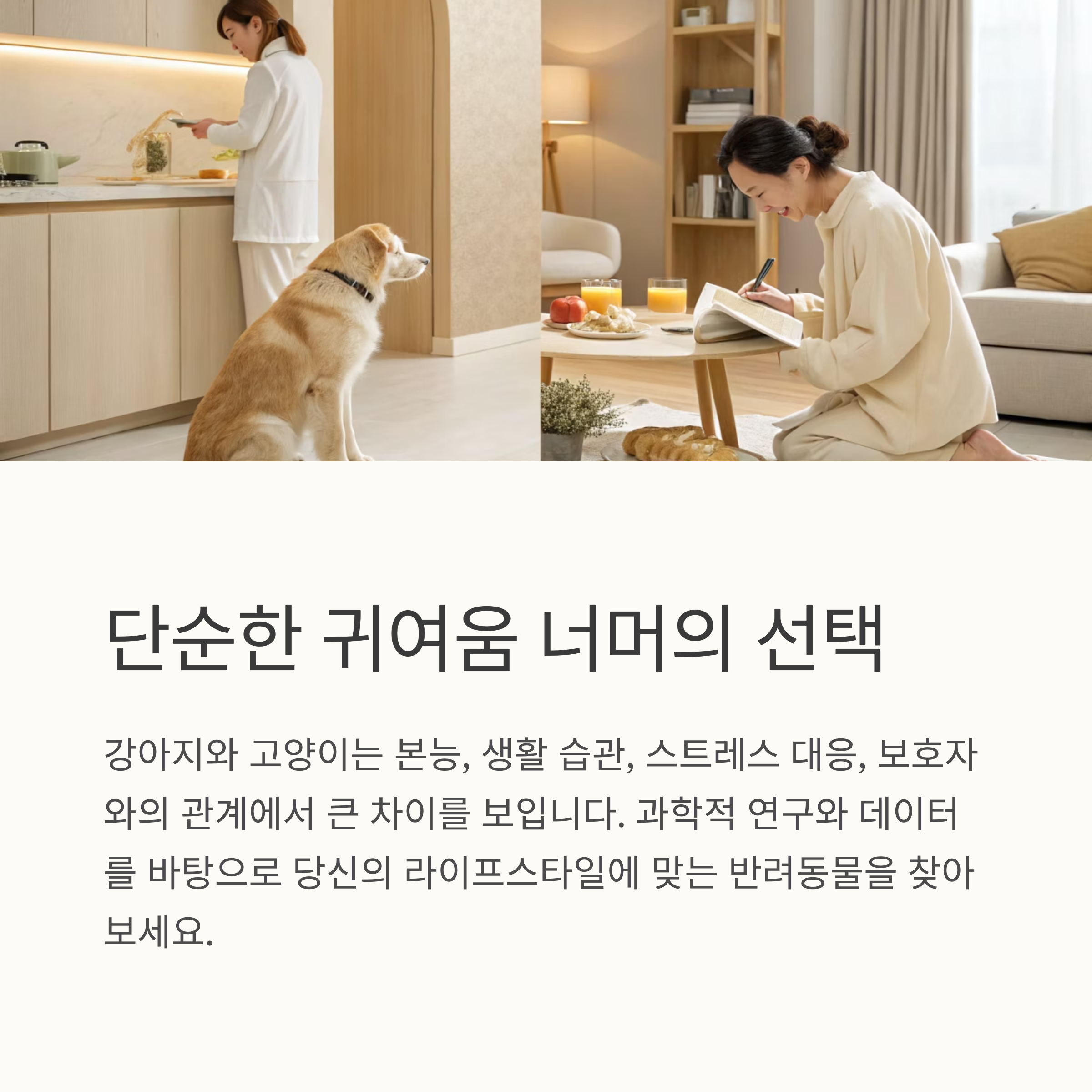 단순한 귀여움 너머의 선택