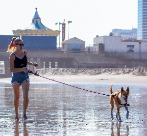 허리디스크에 좋은 운동