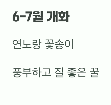 비결 4. 꿀벌들의 천국, 최고의 '밀원수'