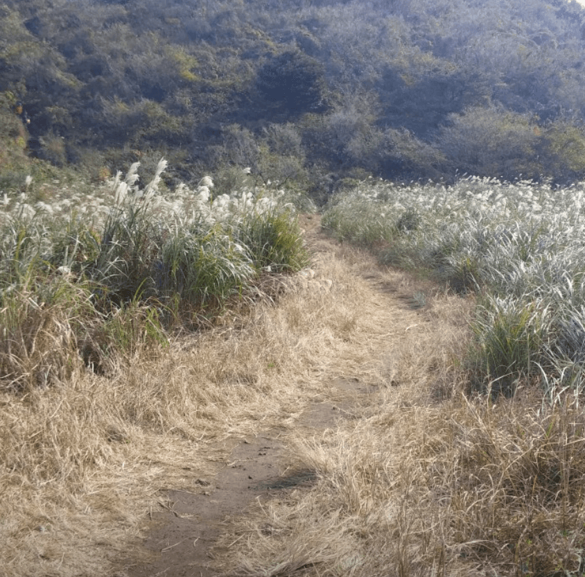 제주 오름여행 초보자를 위한 완벽 가이드!