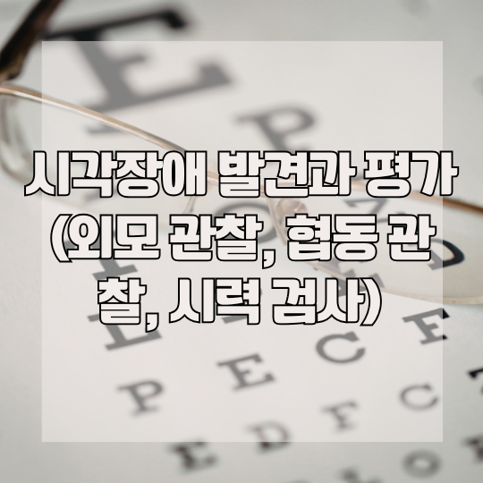 시각장애 발견과 평가 (외모 관찰, 협동 관찰, 시력 검사)