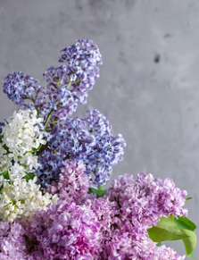 겨울철 타이어 적정 공기압