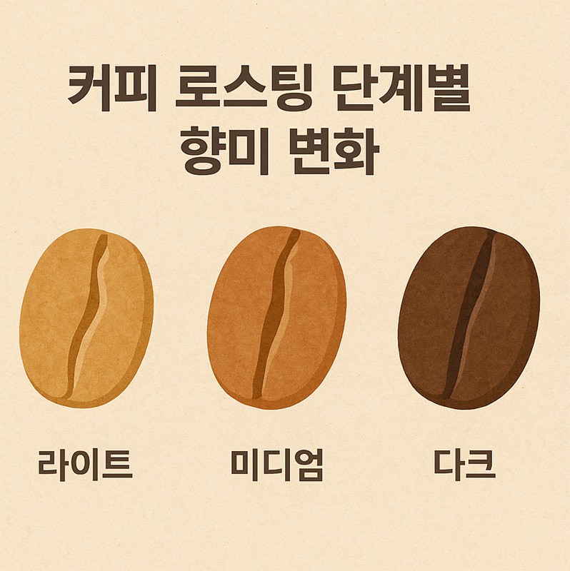 커피 로스팅 단계별 향미 변화