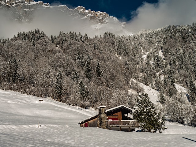웅진플레이도시 워터파크 겨울 시즌권 할인 팁