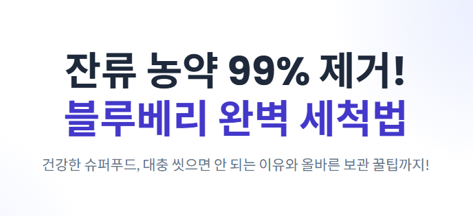 블루베리 세척법