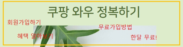 토트넘 경기 티켓 예매팁