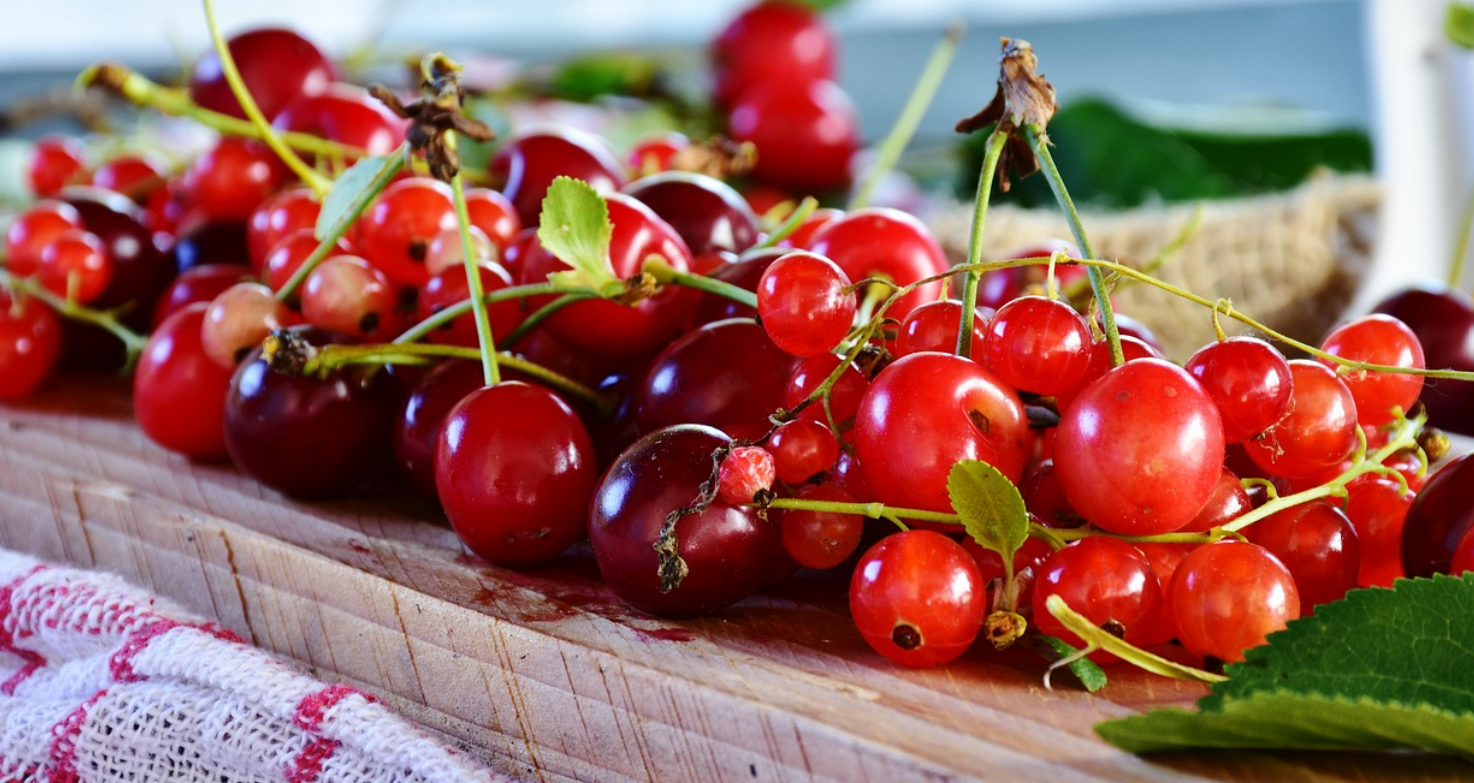 혈당 혈압 낮추는 여름 제철 체리 효능 및 부작용